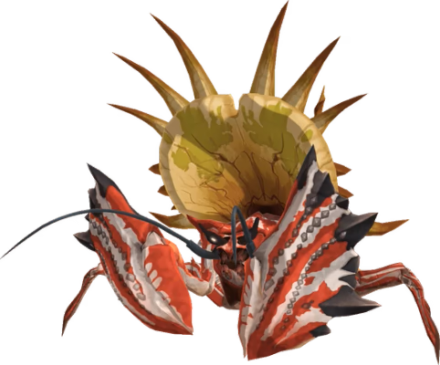 Daimyo Hermitaur